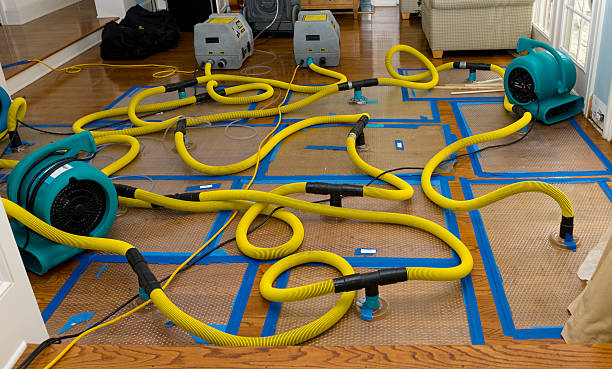 Professional Water Extraction technician working in Huntington Woods, MI